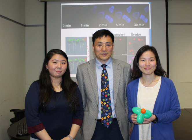 (From Left) Dr. Yau-Tsz Lai, Professor Hongzhe Sun, Miss Yuen-Yan Chang.